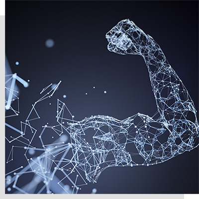 Digital muscular arm